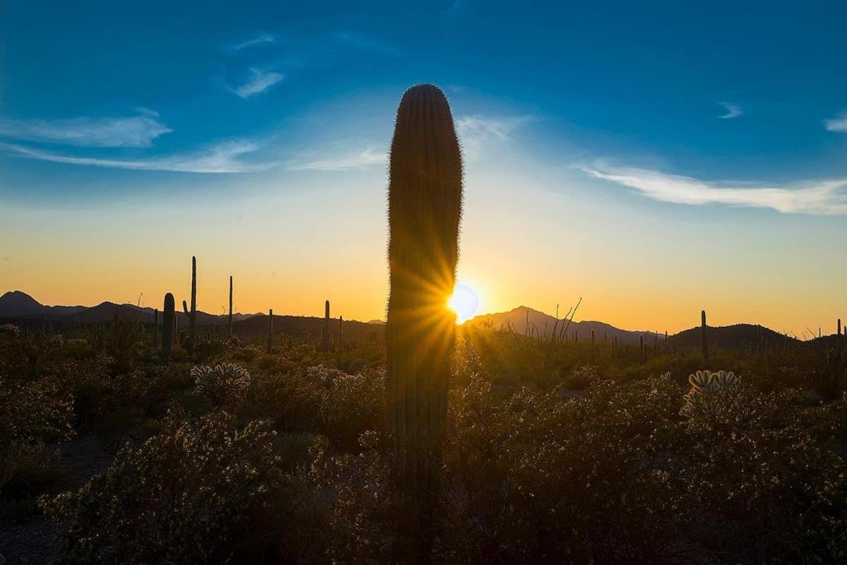 De Paradis Holiday home Scottsdale